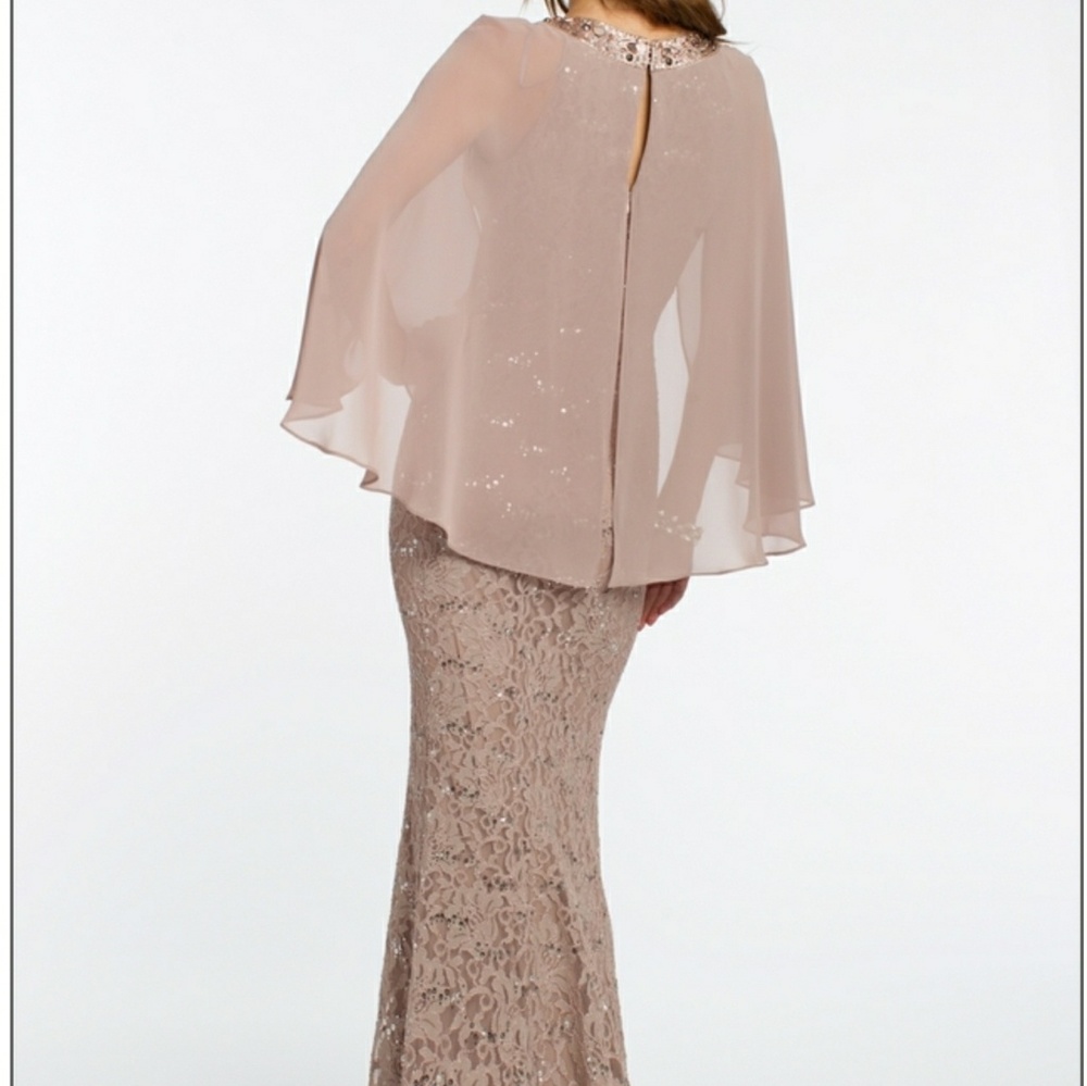 Beautiful capelet dress! unaltered! 🍃🌹 - Picture 2 of 7
